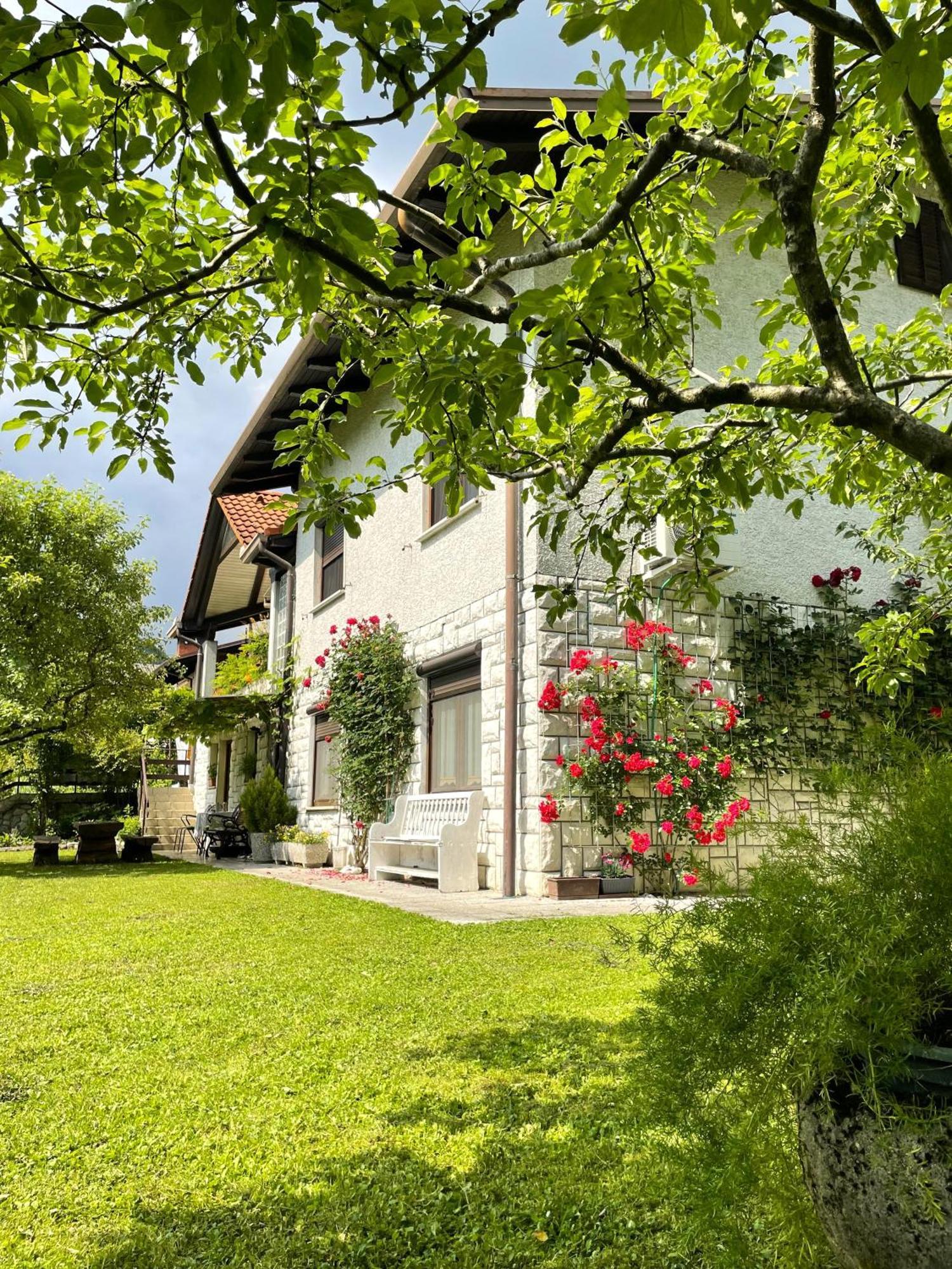 Apartma Savan Tolmin Exterior foto